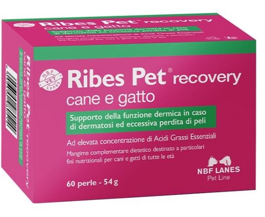 RIBES PET RECOVERY 60cpr - Farmas